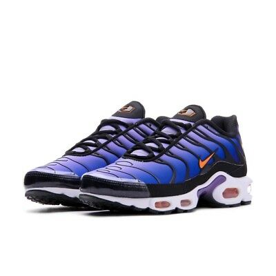 nike tn blue tiger